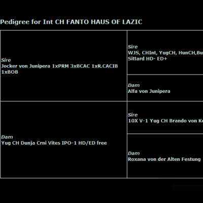 Pedigree of Int CH FANTO HAUS OF LAZIC