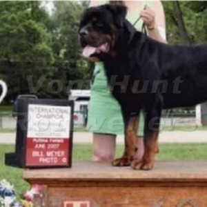 CH FANTO HAUS OF LAZIC