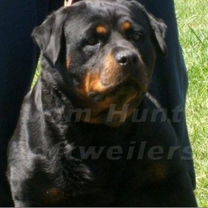 Graudstarks Sailor Moon