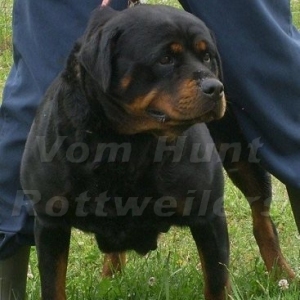 Graudstarks Sailor Moon