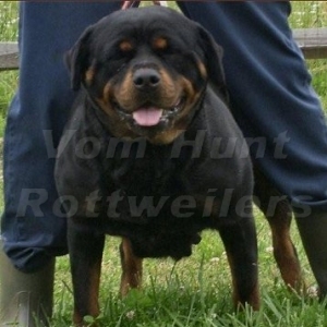 Graudstarks Sailor Moon