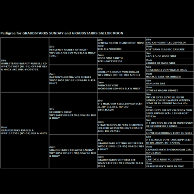 Graudstarks Sailor Moon